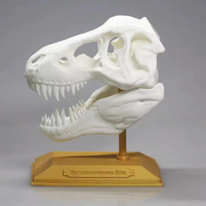 Service d\'impression plastique 3D, prototype d\'imprimante 3D SLS